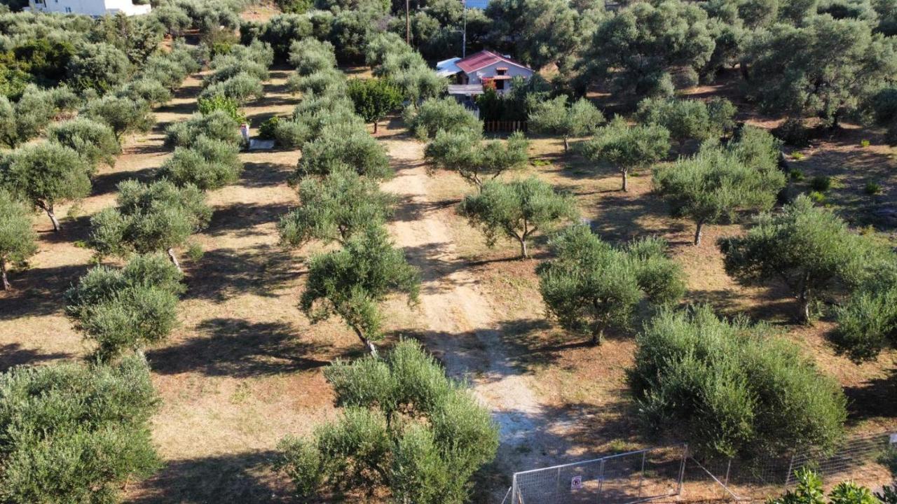 Olea Cottage Galatás Exteriör bild